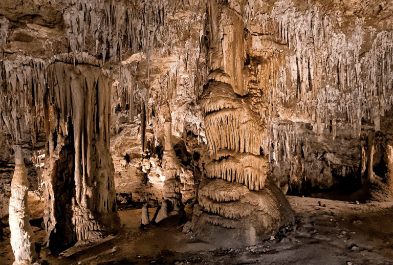 Naracoorte Caves